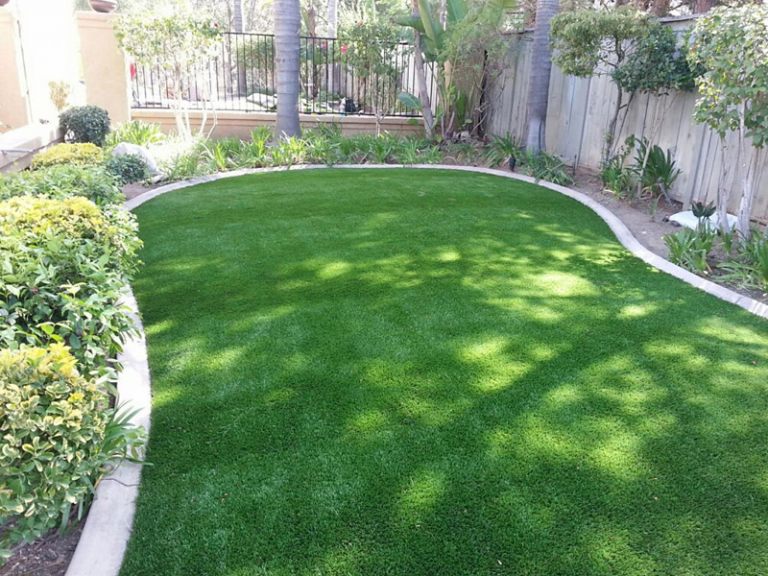 lawn7